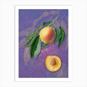 Vintage Peach Botanical Illustration on Veri Peri n.0649 Art Print