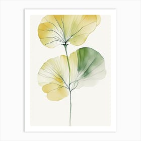 Ginkgo Herb Minimalist Watercolour 1 Art Print