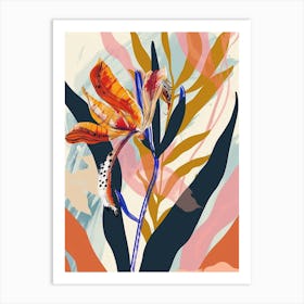 Colourful Flower Illustration Kangaroo Paw Flower 2 Art Print