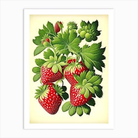 June Bearing Strawberries, Plant, Vintage Botanical Art Print