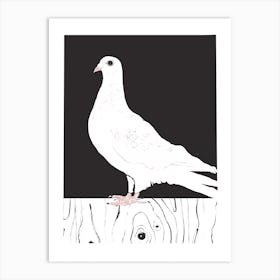 White Pigeon Art Print