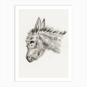 Head Of A Donkey (1818), Jean Bernard Art Print