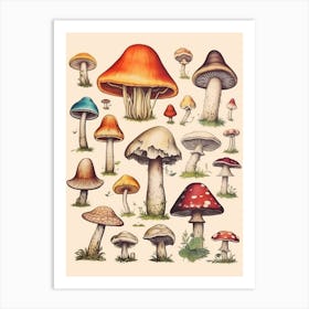 Vintage Mushrooms 4 Art Print