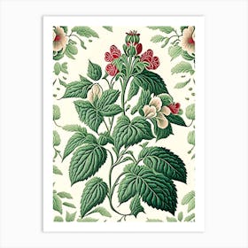 Peppermint 3 Floral Botanical Vintage Poster Flower Art Print