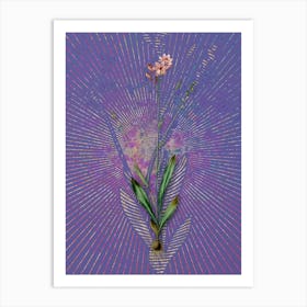 Vintage Gladiolus Junceus Botanical Illustration on Veri Peri n.0661 Art Print