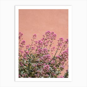 Provence Flowers Art Print