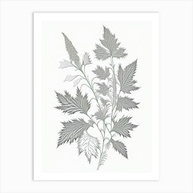 Nettle Herb William Morris Inspired Line Drawing 1 Art Print