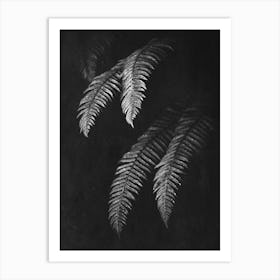 Fern Forest Leaves Black and White Art Print