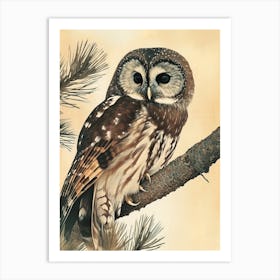 Boreal Owl Vintage Illustration 4 Art Print
