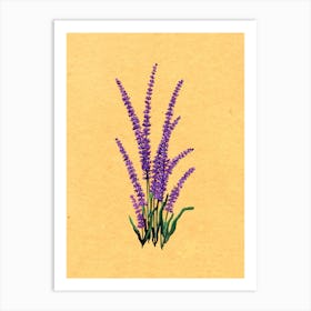 Lavender Country Wildflower Art Print