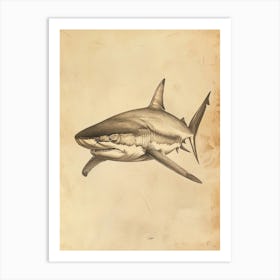 Vintage Bull Shark Pencil Illustration 1 Art Print