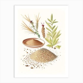 Sesame Seeds Spices And Herbs Pencil Illustration 3 Art Print