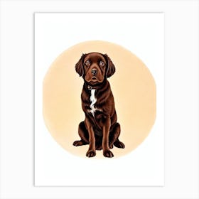 Boykin Spaniel Illustration Dog Art Print