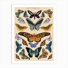 Vintage Butterfly Print Art Print