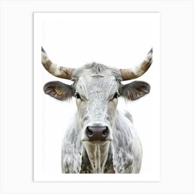 Longhorn Canvas Print 1 Art Print