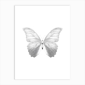 Butterfly Isolated On White Art Print