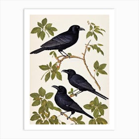 Raven 2 James Audubon Vintage Style Bird Art Print