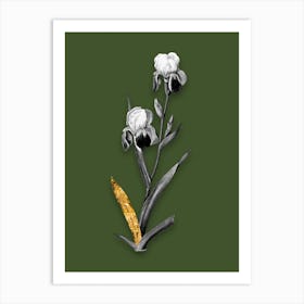 Vintage Elder Scented Iris Black and White Gold Leaf Floral Art on Olive Green n.0453 Art Print