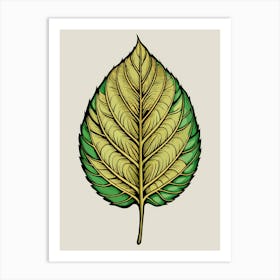 Leaf Leaves Art Print