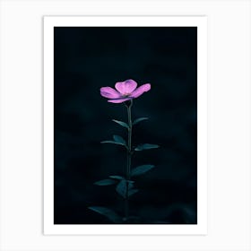 Single Flower In The Dark 9 Art Print