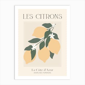 Les Citrons Art Print