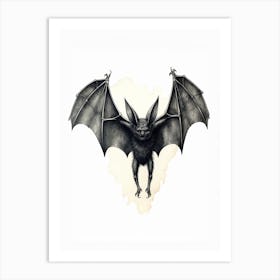 Serotine Bat Vintage Illustration 2 Art Print