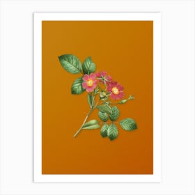 Vintage Redleaf Rose Botanical on Sunset Orange n.0721 Art Print