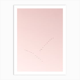 Flock Of Geese | Pink Pastel Art Print | Sunrise Birds | The Netherlands Art Print