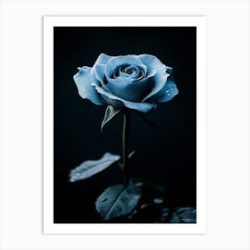 Blue Rose 2 Art Print