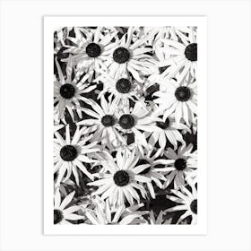 Black And White Daisies Art Print
