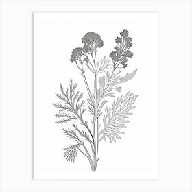 Coriander Herb William Morris Inspired Line Drawing 1 Art Print