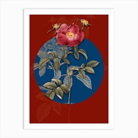 Vintage Botanical Stapelia Rose Bloom on Circle Blue on Red n.0265 Art Print