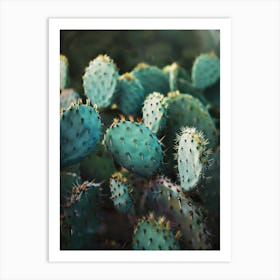 Cactus in the garden Art Print