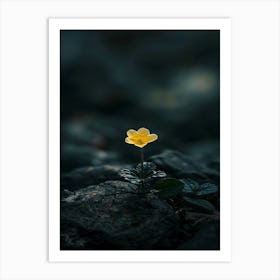 Single Yellow Flower 52 Art Print