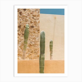 Abstract Cactus Art Print