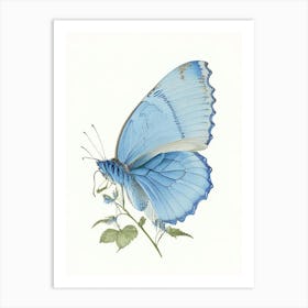 Common Blue Butterfly Vintage Pastel 1 Art Print