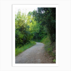 Trail In The Woods 20210831 307ppub Art Print