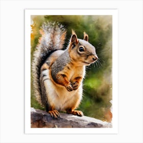 Andean Squirrel Art Print