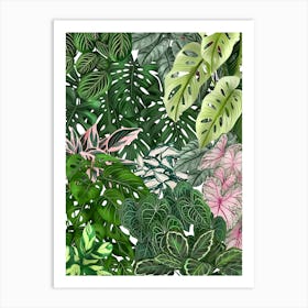House Plants Jungle Art Print