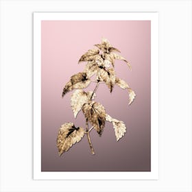 Gold Botanical White Dead Nettle Plant on Rose Quartz n.4524 Art Print