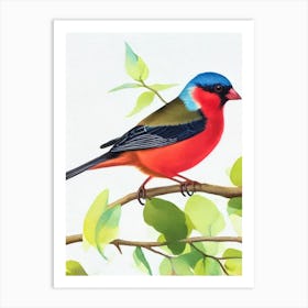 Finch 2 Watercolour Bird Art Print