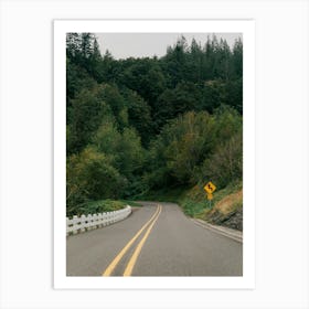 Driving into the Forest Art Print