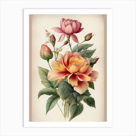 Vintage Peonies Art Print