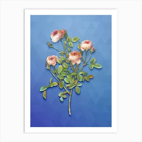 Vintage Burgundian Rose Botanical Art on Blue Perennial n.0511 Art Print