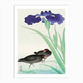 Waterhoots And Iris (1925 1936), Ohara Koson Art Print