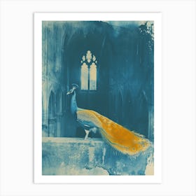 Orange & Blue Peacock In The Church Abbey 2 Art Print