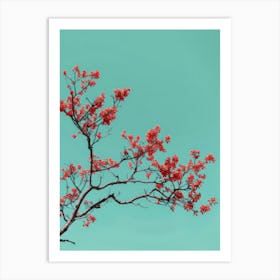 Red Cherry Blossoms Against Blue Sky Art Print