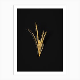 Vintage Yellow Iris Botanical in Gold on Black n.0406 Art Print