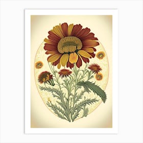 Helenium Wildflower Vintage Botanical 2 Art Print