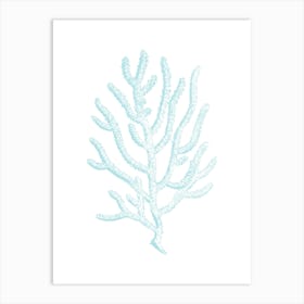 Blue Coral 3 Art Print